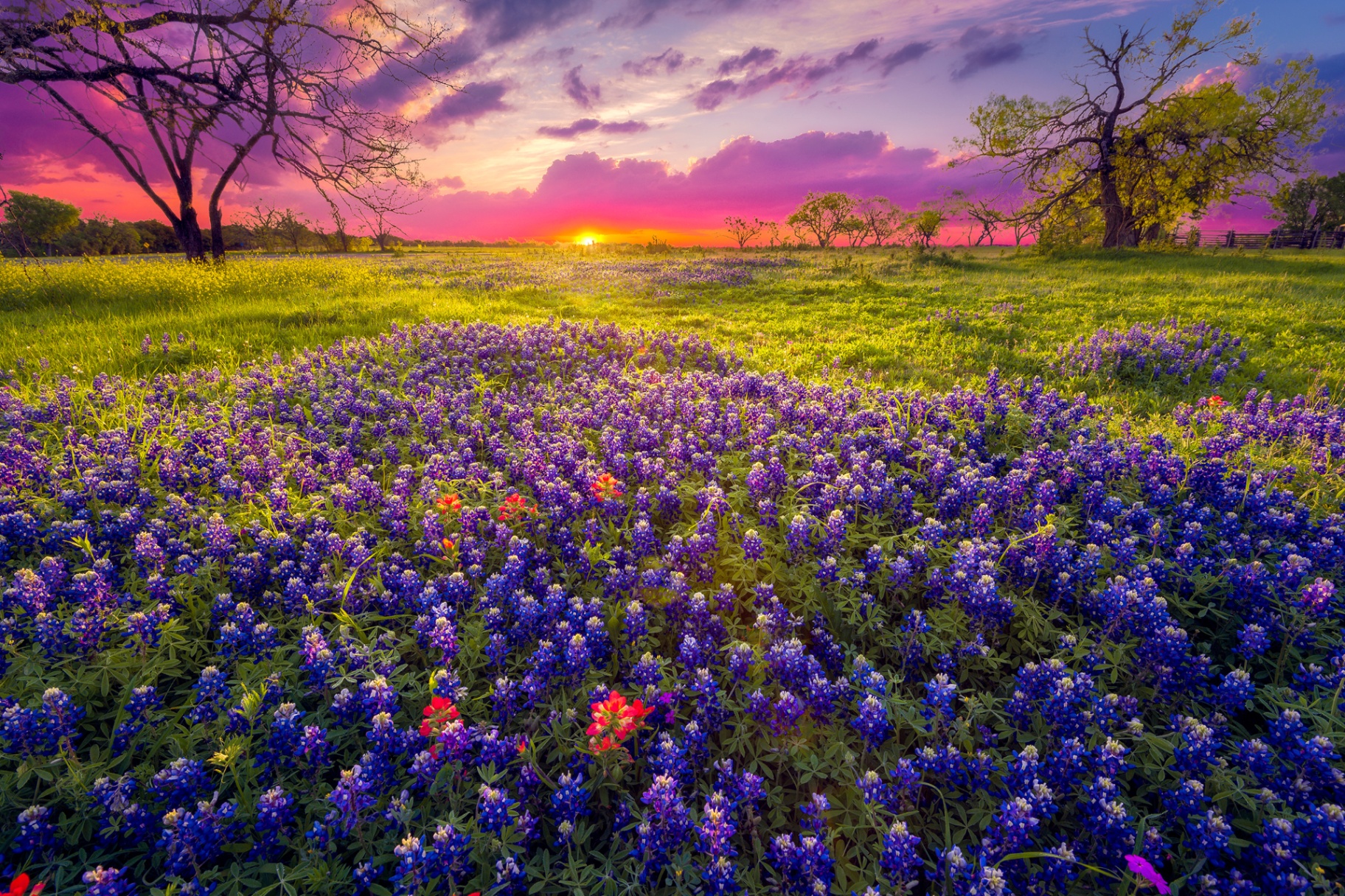 Texas Hill Country landscape